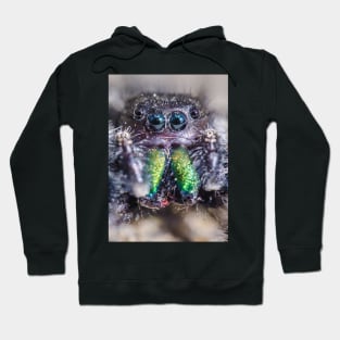 Little Hairy Face. Jumping Spider Macro Photograph Hoodie